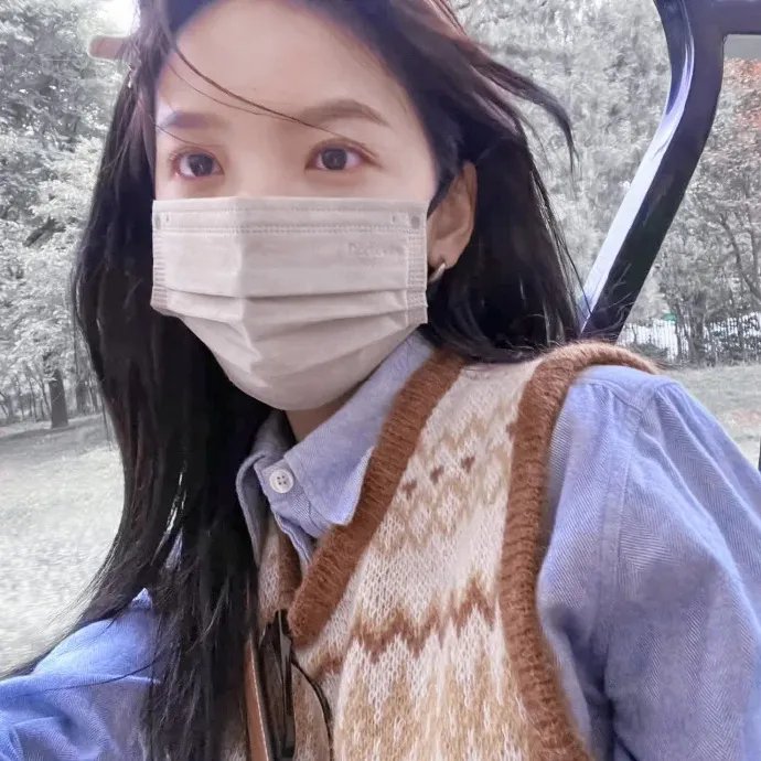 小野猫公路历险记